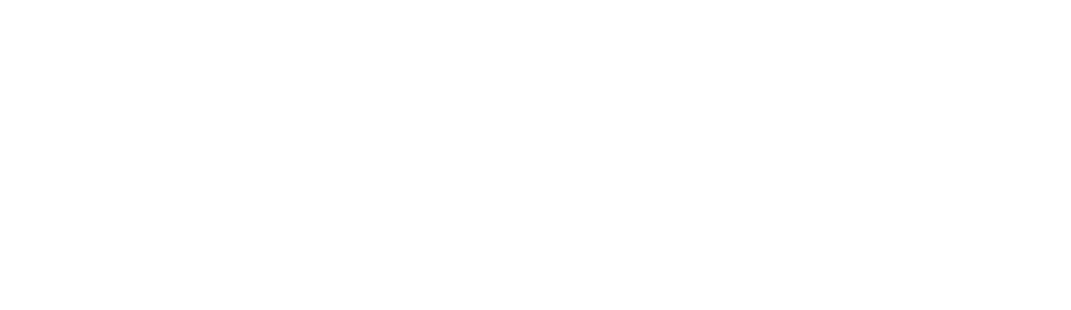 logo 30